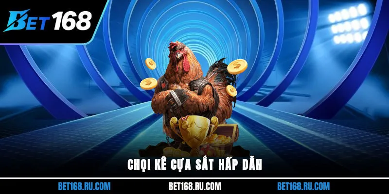 Chọi kê cựa sắt hấp dẫn